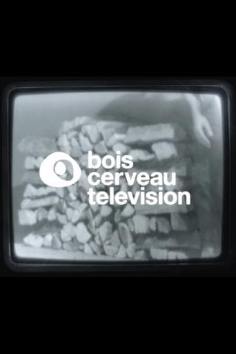 BOIS CERVEAU TV (1) image